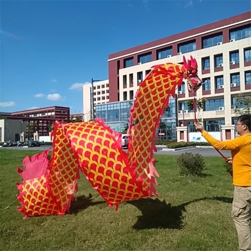 Tête de Dragon 3D de 8 mètres, - Outdoor Sport Gym avis et prix